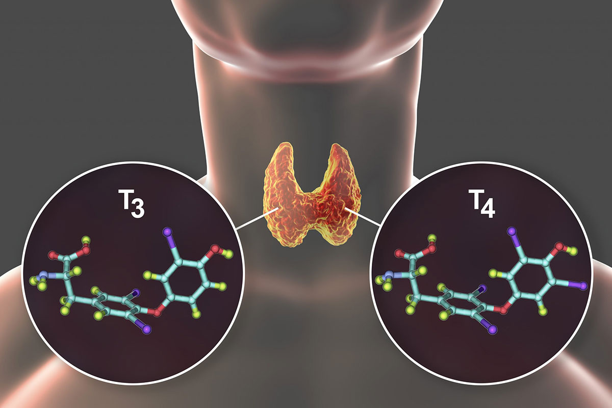 How Does Bioidentical Thyroid Hormone Replacement Therapy Work